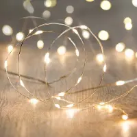 Dripio Lichtkette 200 Micro-LEDs warmweiß, Silberdraht, 8 m, Netzbetrieb