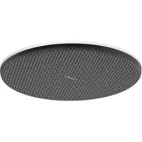Hansgrohe 24523700 Kopfbrause Raindance Alive Q