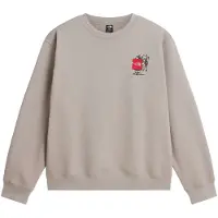 The North Face Gear Up Get Out Crew Graphic Herren Pullover beige Größe XL Lifestyle Atmungsaktiv