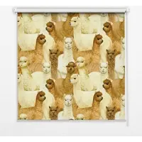 Tulup INNENROLLO - Fensterrollo - Rollo - 140x140 cm - Alpakaherde