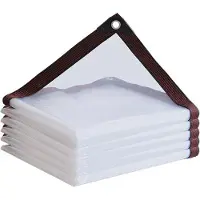 Benza Ibenzoa Wasserdichte Abdeckplane transparent 2×3 m – PE (Polyethylen), Regen- & Windschutz, −20 bis +40 °C, 86% Transparenz, metallverstärkte Ösen