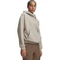 Under Armour Icon Fleece Hoodie brown timberwolf taupe (204) XL
