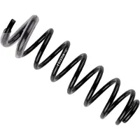 BILSTEIN Fahrwerksfeder 36-245314 Hinterachse für MERCEDES-BENZ