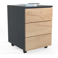 Ebuy24 Rollcontainer Beistellcontainer Dalosa