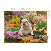 CALVENDO Puzzle English Bulldog in the Spring Garden | 2000 pieces, finished size 35.4 × 26.4 in (90 × 67 cm) | Photo puzzle for happy hours