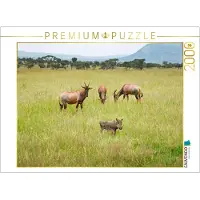 CALVENDO Puzzle: Antilopen und Warzenschweine | 2000 Teile, fertige Größe: 90 x 67 cm | Fotopuzzle für entspannte Stunden