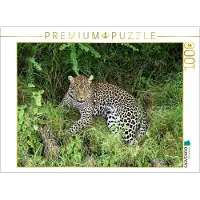 CALVENDO Puzzle , Motiv: Leopard | 1000 Teile, fertige Größe: 64 x 48 cm | Ein hochwertiges Puzzle mit einem Foto, das stundenlangen Spaß bietet