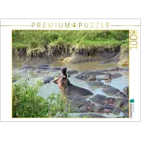 CALVENDO Puzzle, Nilpferd | 1000 Teile, fertige Größe: 64 x 48 cm | Fotopuzzle für entspannte Stunden
