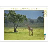 CALVENDO Puzzle , Giraffe | 1000 Teile, fertige Größe: 64 x 48 cm | Ein Puzzle mit einem Foto, das stundenlangen Spaß bietet