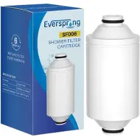 Everspring Wasserduscha-Filterelement kompatibel mit Philips AWP175: AWP1775WH / AWP1775CH, 1er-Pack