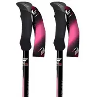 Fizan Compact Tech Stock
