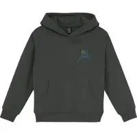 Color Kids Sweat Hoodie 742945 kambaba (9404) 164