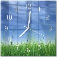 Drukarnia Piga Tulup Glasuhr Wanduhr Küchenuhr Echt-Glas 30x30 cm Modern Dekorativ Geräuschlos Weiße Zeiger - Gras