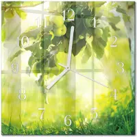 Drukarnia Piga Tulup Glasuhr Wanduhr Küchenuhr Echt-Glas 30x30 cm Modern Dekorativ Geräuschlos Weiße Zeiger - Apfelbaum