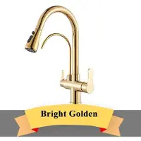 StarTech.com Küchenarmatur mit Wasserfilter - Zweigriff Spültischarmatur - Warm/Kalt Wasser - 360° schwenkbarer Doppelauslauf - herausziehbare Brause - Gold