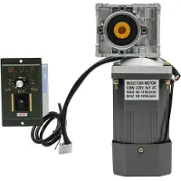StarTech.com AC 220V Schneckengetriebemotor - 120W Motor - Drehzahl 1650 U/min regelbar - Kupferspule - Selbsthemmendes umkehrbares Getriebe - Mit Drehzahlregler - Grau