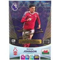 Hasbro PANINI Premier League 2024 LIMITED SIGNATURE Brennan Johnson cards