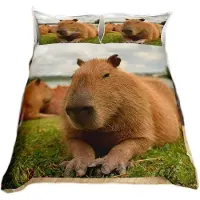 Merkloos Bettwäsche Set mit Lustigem Capybara Design für Kinder und Erwachsene