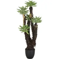 Creativ Green Kunstpflanze "Dudleya" mit naturgetreuer Gestaltung