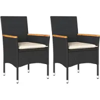 vidaXL Gartenstühle mit Kissen 2 Stk. Schwarz Poly Rattan