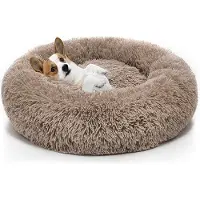 Surtep Tierbett Jenny für Hunde und Katzen, Champagner, XS, 40x40x20 cm, maschinenwaschbar