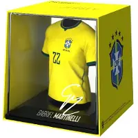 Fancollex Weltmeisterschaft 2026 (Brasilien) – Martinelli
