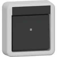 Gira IP44 Zwei-Pole Aufputz Kippschalter Grau - 310235