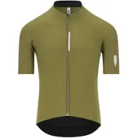 Q36.5 Dottore Pro Kurzarm-radtrikot