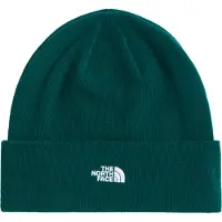 The North Face - Norm Beanie - Mütze Gr One Size grün