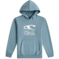 O'Neill Essentials Kapuzenpullover