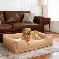 Bingopaw WISFOR Hundebett Hundesofa Hundekissen, erhöhte Ränder, wasserfest waschbar Bezug abnehmbar 3XL: 127 x 94 x 24 cm, Beige