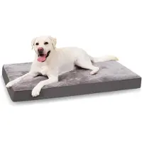 Merkloos Orthopädisches Hundebett für große Hunde – abnehmbare Auflage, 91 x 68 cm