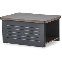 AEA Couchtisch Rechteck Form Arbeitszimmer Schwarz Modern Einfarbig Regal