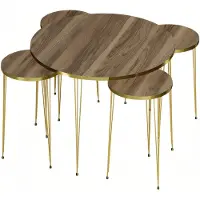 AEA Moderner brauner Holz-Couchtisch mit Beistelltischen, stilvolles
