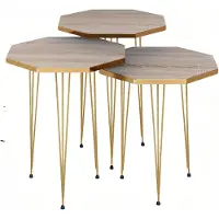 AEA Elegantes braunes Couchtisch-Set aus Holz und Edelstahl