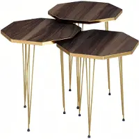 AEA Elegantes braunes Couchtisch-Set aus Holz und Edelstahl