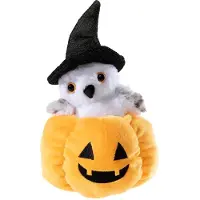 Heunec Kuscheltier Eule im Kürbis Halloween Peek-A-Boo 16 cm