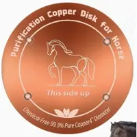 INF Vogelbad Kupferscheibe Reiniger – 99.99% reines 0.6mm Kupfer, Roségold, 10cm x 10cm, hält Wasser bis zu 14 Tage klar