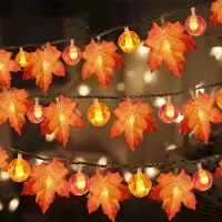 Rosikey Halloween Girlande Lichter mit Kürbis Ahornblatt Warmweiß LED Lichterkette Batteriebetrieben für Thanksgiving Halloween Dekoration Home Party, 6m 40LEDs