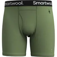 Smartwool Merino Brief Boxershorts