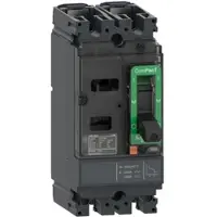 Schneider Electric C10M2TM080 Kompaktleistungsschalter ComPacT NSX100M AC/DC mit TM80D 2P2D 80A, 40kA/240 VAC
