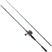 Abu Garcia Max Lp Pike Jerkbait Baitcasting-combo Silber 1.98 m / 30-90 g Silber 1.98 m