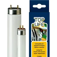Ferplast Aquasky 8w Neon-aquarienlampe