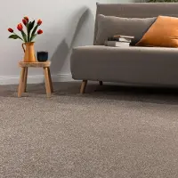 Steffensmeier Teppichboden Catania Meterware | Auslegware für Kinderzimmer Wohnzimmer Schlafzimmer | Braun, Größe: 300x600 cm