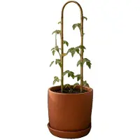 OEM Bambuspflanzenstütze, 75 x 15 cm, Set von 10, unterstützt Kletterpflanzen, umweltfreundliches Material, leicht und langlebig