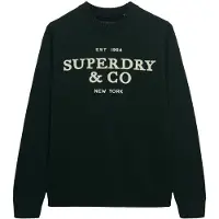 Superdry für Herren. M6110788A Jersey Applique grün (M), Lässig, Baumwolle