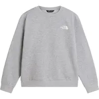The North Face - Kid's Teen Evolution Box NSE Crew - Pullover Gr S grau