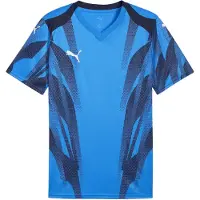Puma teamFINAL Graphic Trikot blauweiss, S Herren