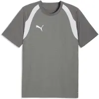 Puma teamFINAL26 Trainingstrikot