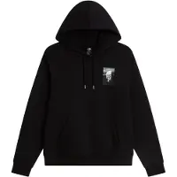 The North Face Mens Apex '75 Collage Relaxed Hoodie tnf black (JK3) L
